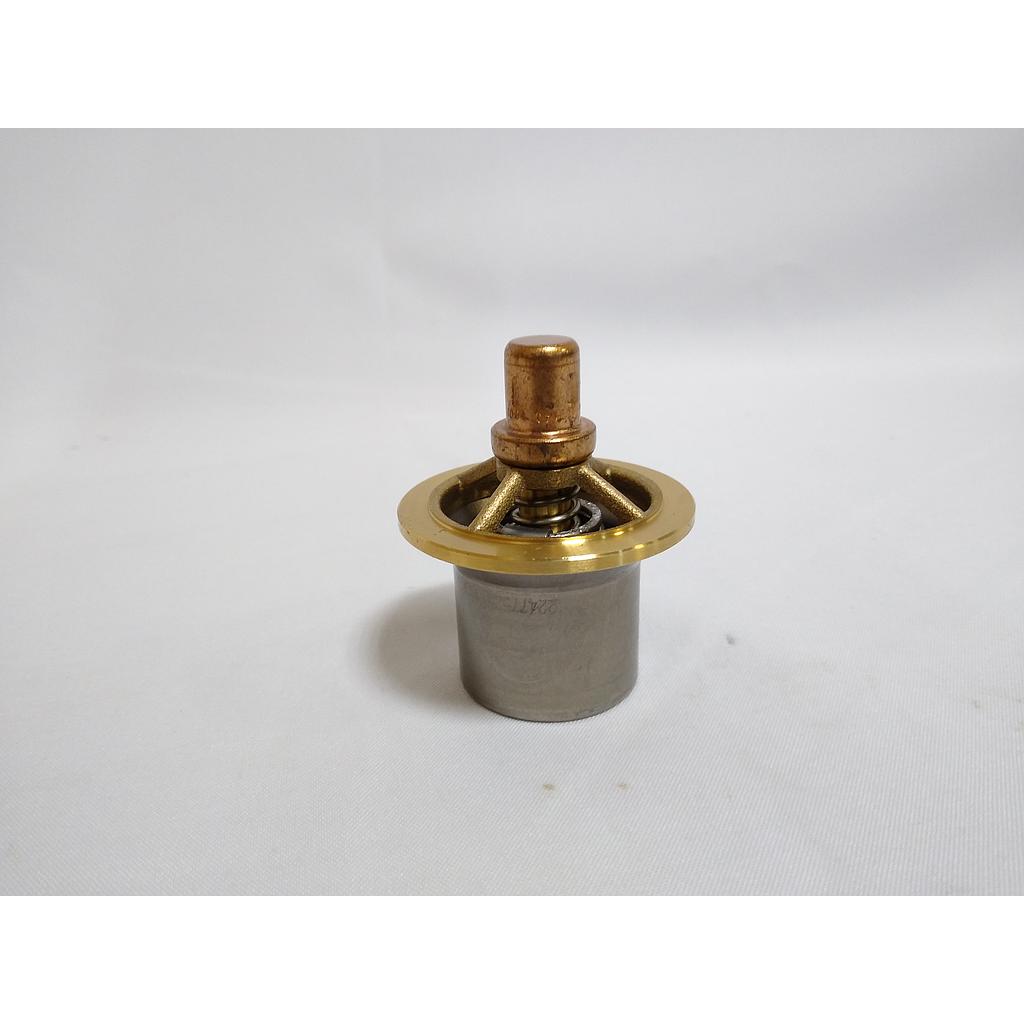 KIT; THERMAL VALVE REBUILD, COUGAR