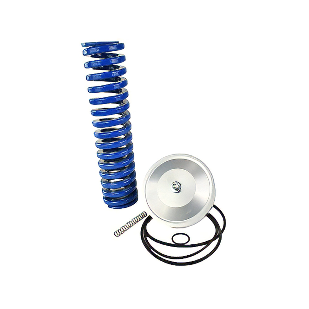 [47574446001] KIT, SERVICE MPCV 4-INCH