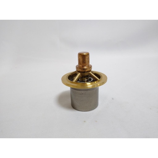 [22477525, 47693622001] KIT; THERMAL VALVE REBUILD, COUGAR