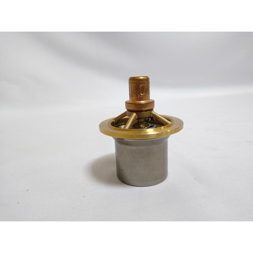 [22195820] ELEMENT,THERMO CONTROL