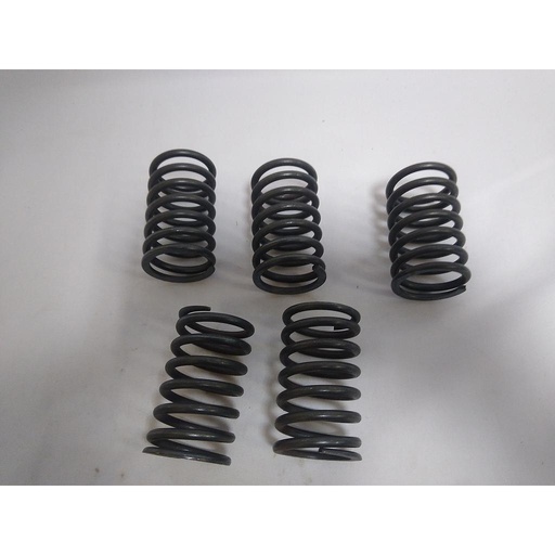 [30671663] SPRING,VALVE