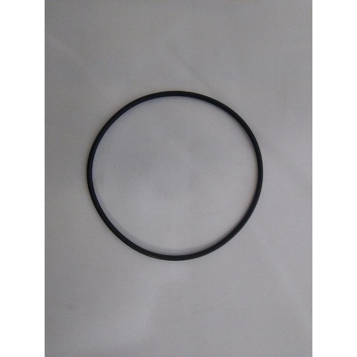 [95022117] O-RING